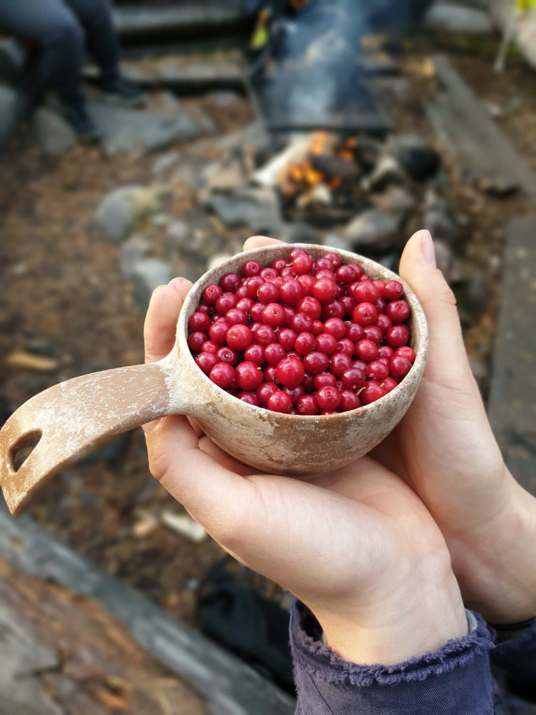 puolukkakuksa